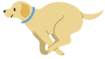 走ってる犬