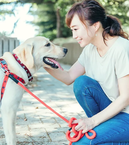 犬と女性が見つめ合う写真