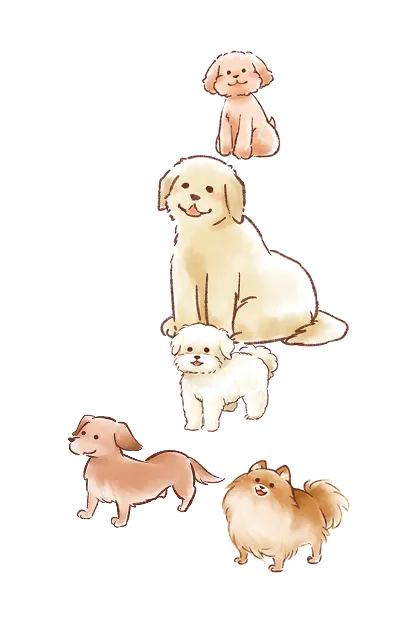 犬の画像