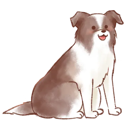 犬の画像