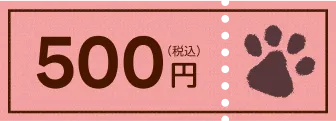 500円 (税込)