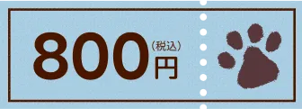 800円(税込)